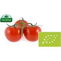Pomidor na gałązce BIO IMPORT 1 kg