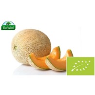 Melon Kantalupa BIO IMPORT 1 kg
