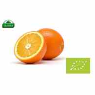 Pomarańcze na sok BIO IMPORT 1 kg (SPRZEDAŻ PO 10 KG)